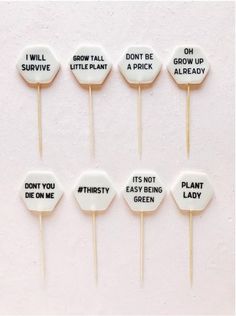 six cake pops with words on them that say, i will grow up and it's not easy being lady