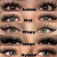 Best Eyelash Extensions, Best Lash Extensions, Lashes Fake Eyelashes, Lashes Tutorial, Eyelash Technician, Lash Extensions Styles, Simple Makeup Tips, Perfect Eyelashes, Eyelash Extension Supplies