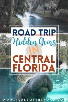 the road trip to hidden gems in central florida