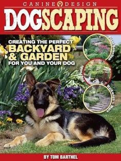 the front cover of a book with an image of a german shepherd laying on grass