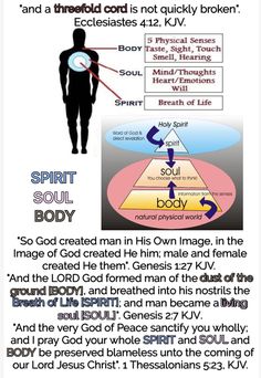 an info sheet describing the body's functions and how it is used to treat