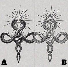 an image of two snakes with the letters b and c in each letter, one is drawn