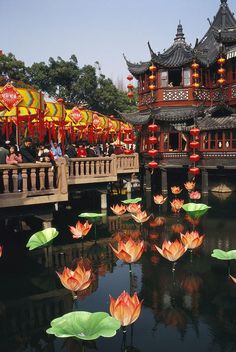 there are many water lilies floating in the pond and people standing on the bridge