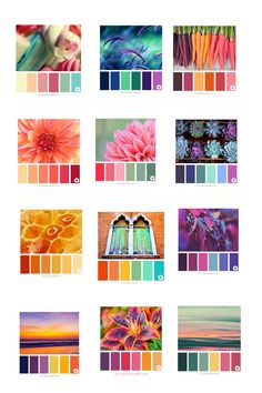 the color palettes are all different and there is no image on them to describe