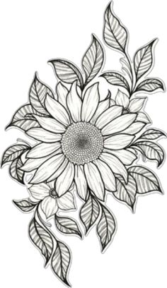 a drawing of a sunflower with leaves