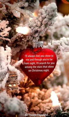 a red ornament hanging from the side of a christmas tree with snow on it