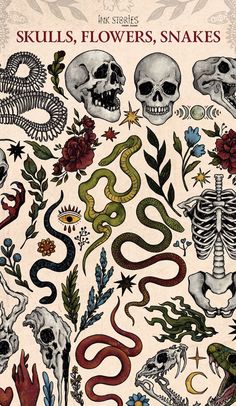 a book cover with skulls, flowers, snakes and other tattoos on it's side