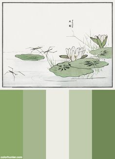 the color scheme is green and white, with water lilies on it's surface