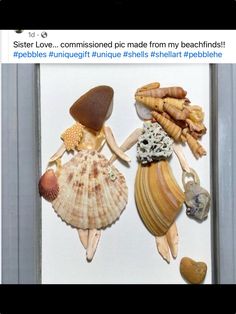 some shells and seashells are hanging on the wall