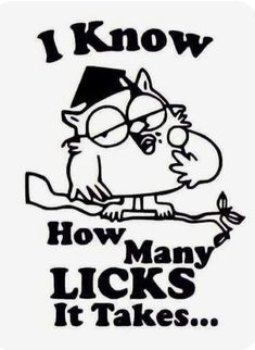 a sticker that says i know how many licks it takes