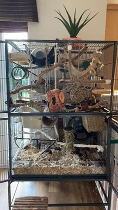 a bird cage filled with lots of birds in it