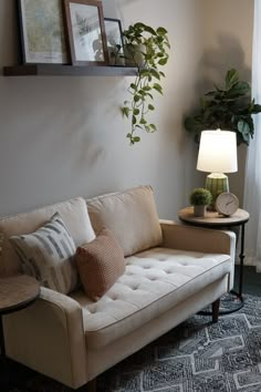 a living room with a couch, table and potted plant on the side wall