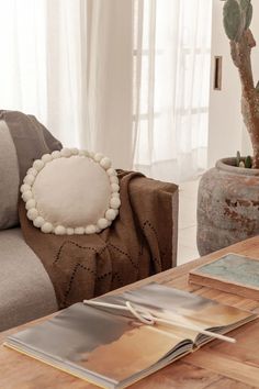 a living room with a couch, coffee table and potted cacti in it