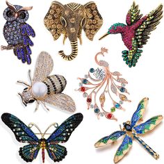 six different types of brooches are shown in various colors and sizes, including one with