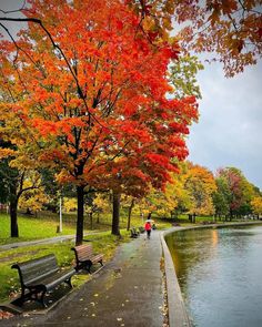 a person walking down a path next to a body of water with trees in the background