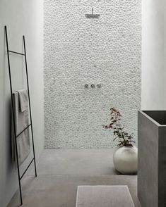 a white bathroom with a plant in the corner and a shower head on the wall