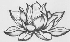 a black and white drawing of a lotus flower