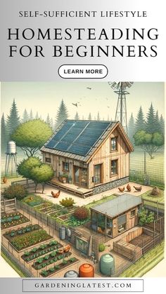 a book cover with an image of a house and garden in the foreground text reads self - sufficient lifestyle homesteading for beginners learn more