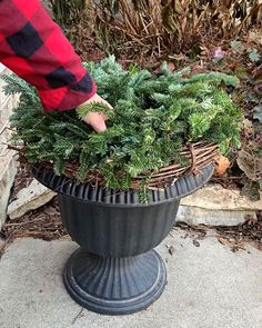 someone is placing plants in a planter on the sidewalk