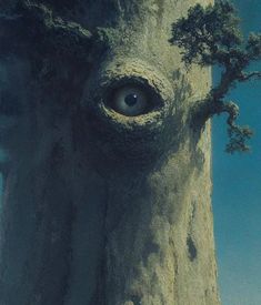 an eye is seen in the middle of a tree