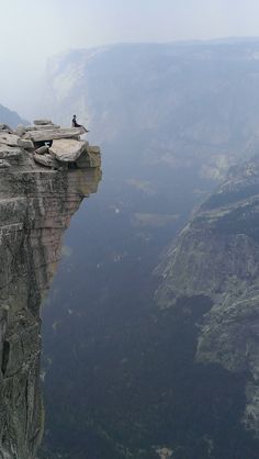 two birds are perched on the edge of a cliff