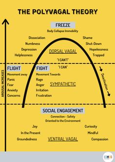 Nervus Vagus, Psychology Notes, Teaching Secondary, Mental Health Facts, Counseling Psychology, Mental Health Counseling, Counseling Resources, Therapy Worksheets, Emotional Wellbeing