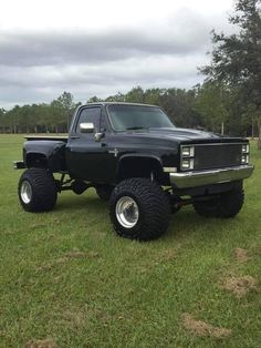 a large black truck parked on top of a lush green field