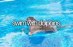 a dolphin swimming in a pool with the words swimming with dolphins written above it on top