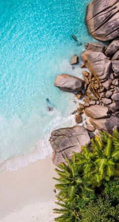 an aerial view of the beach and water from above, with palm trees in the foreground