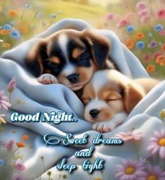 two puppies cuddling under a blanket with the words good night sweet dreams and sleep tight