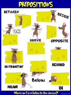 a cartoon mouse with cheese on it's back and the words prepositions