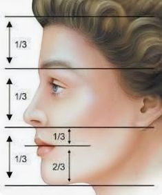 Golden Ratio Face, Golden Ratio, Pencil Art Drawings, Drawing Lessons, Anatomy Art