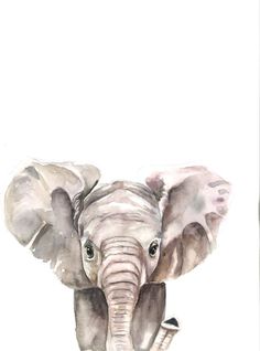 an elephant is shown in this watercolor painting