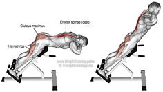 an image of a man doing exercises on the incline bench with muscles highlighted and labeled