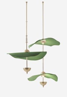 three green plants hanging from the ceiling in front of a white background with no one around them