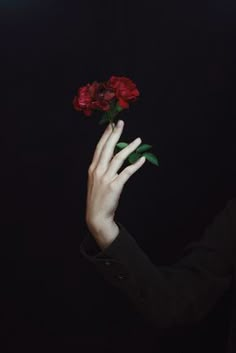 a person holding a red rose in their left hand with the other hand reaching for it