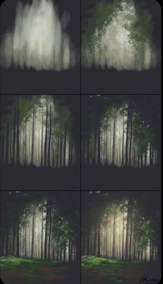 four different shots of trees in the woods with fog and light coming from behind them