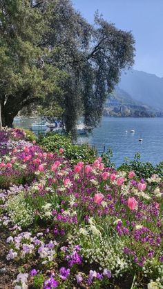 the flowers are blooming on the side of the water by the trees and boats