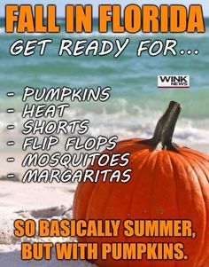 a pumpkin sitting on top of a sandy beach next to the ocean with caption that reads, fall in florida get ready for