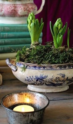 a potted plant sitting on top of a table next to a candle