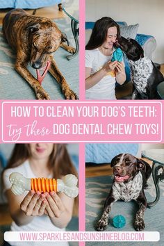 how to clean your dog's teeth and try these dental chew toys for dogs