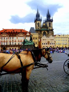 a horse drawn carriage in front of an old building with many spires and towers