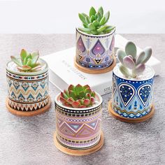 four ceramic pots with succulents in them sitting on a table next to a white box