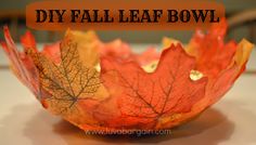 fall leaf bowl Fall Leaf Bowl, Diy Leaf, Fall Magic, Autumn Leaves Craft, Leaf Bowl, Diy Leaves, Diy Bowl, Leaf Bowls, Cheap Crafts