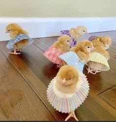 several little chicks dressed up in dresses and standing on the floor next to each other