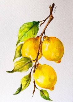 a painting of lemons on a branch with leaves