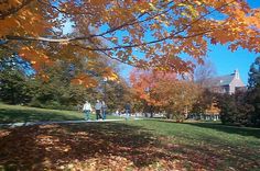 two people walking down a path in the fall