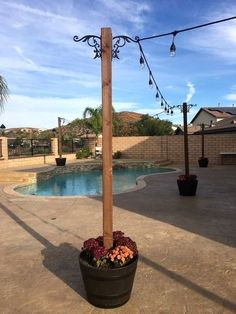 a potted plant sitting next to a pool with string lights hanging from it's sides