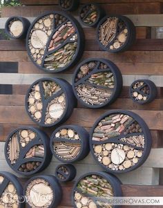 many different types of plants in black pots on a wooden pallet with text overlay