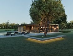 a tree in the middle of a lawn with lounge chairs around it and a pool